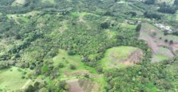 Mountain Property located in San Jeronimo, San José
