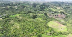 Mountain Property located in San Jeronimo, San José