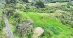 Mountain Property located in San Jeronimo, San José