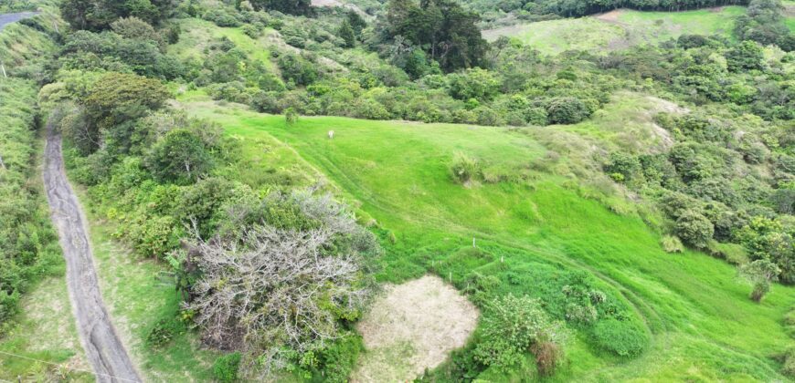 Mountain Property located in San Jeronimo, San José