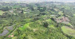 Mountain Property located in San Jeronimo, San José