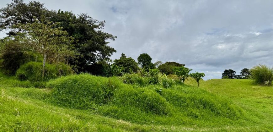 Mountain Property located in San Jeronimo, San José