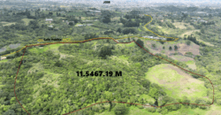 Mountain Property located in San Jeronimo, San José