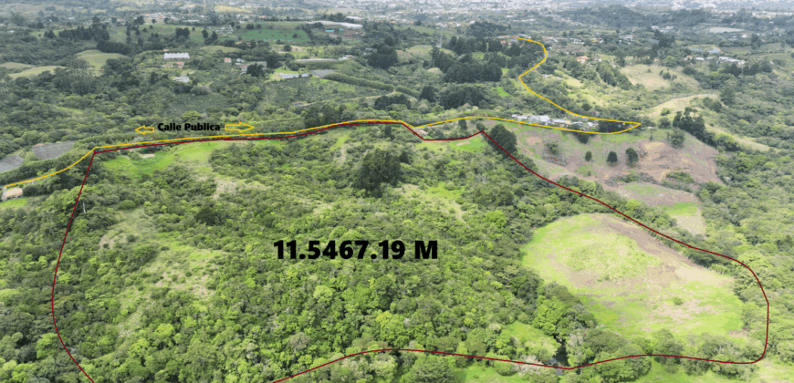 Mountain Property located in San Jeronimo, San José