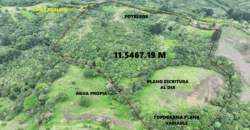 Mountain Property located in San Jeronimo, San José