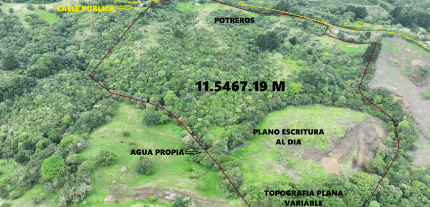 Mountain Property located in San Jeronimo, San José