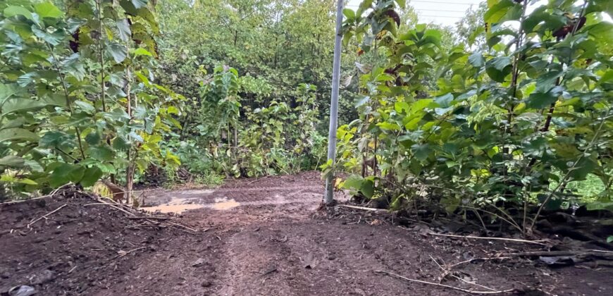 Lot for Sale in Bajamar, Puntarenas