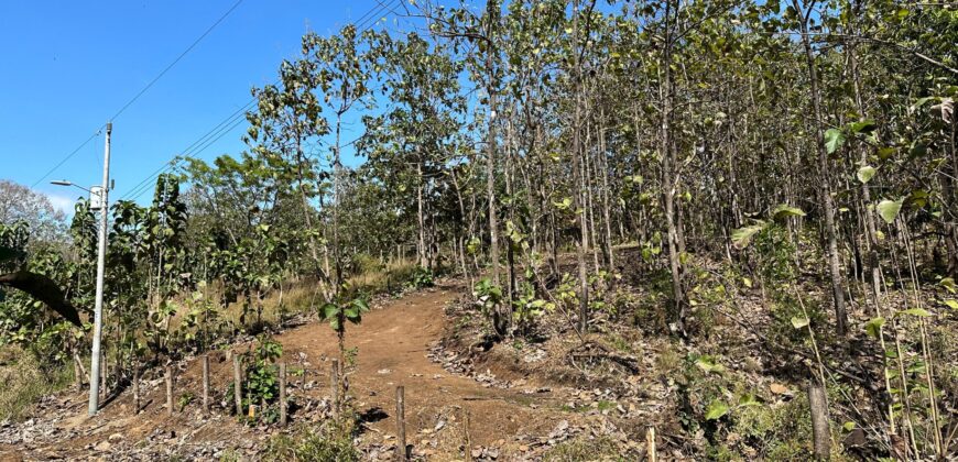 Lot for Sale in Bajamar, Puntarenas
