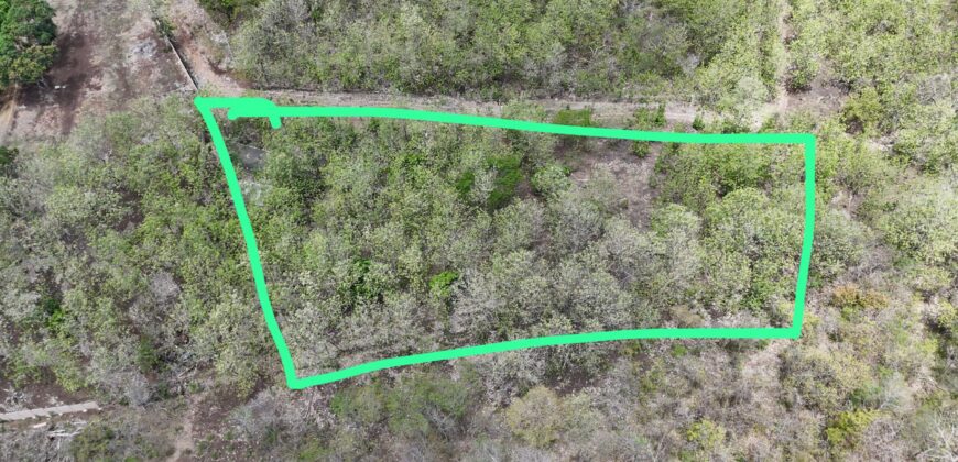Lot for Sale in Bajamar, Puntarenas